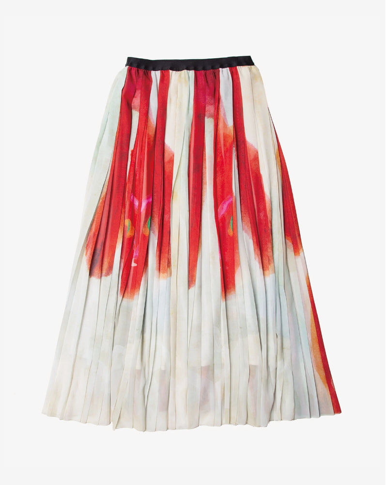 Drawing Pleated Skirt by Takashi Tsushima